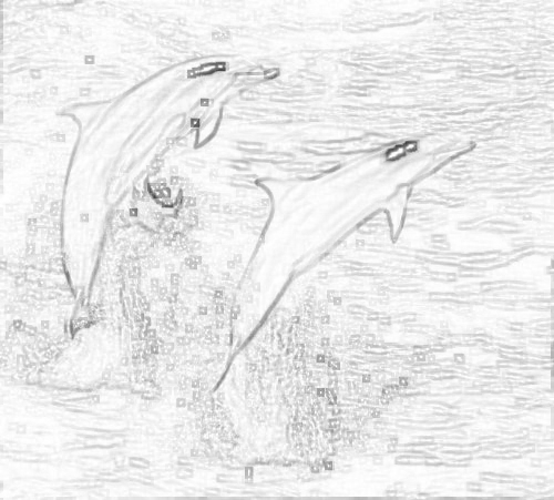 Deux dauphins sautant hors de l'eau avec seulement les bords visibles